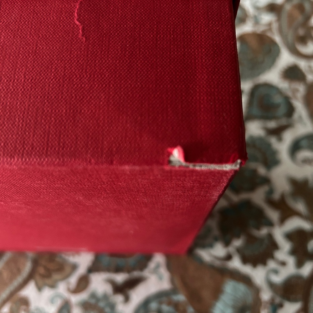Valentino Garavani Dust Bag and Shoe Box - Picture 9 of 9